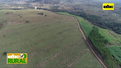 ABC Rural: Control integral de malezas para revalorización de campos