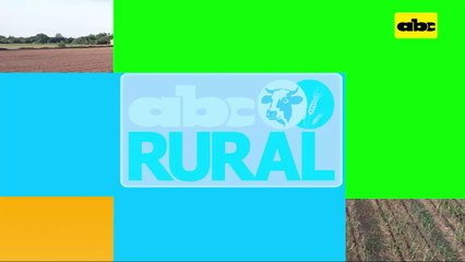 ABC Rural: Ventajas del sistema de riego en horticultura chaqueña