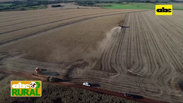 ABC Rural: Informaciones rurales internacionales 17/07/2021