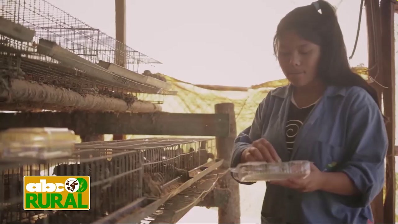 ABC Rural: Informaciones Rurales