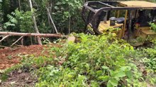 Construction of Heavy Oil Palm Terraces in Medan with D6R XL Bulldozer