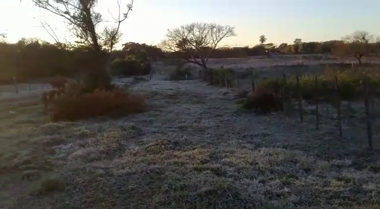 Escarcha en Misiones
