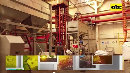 ABC Rural: Avance de la producción del cáñamo en América Latina