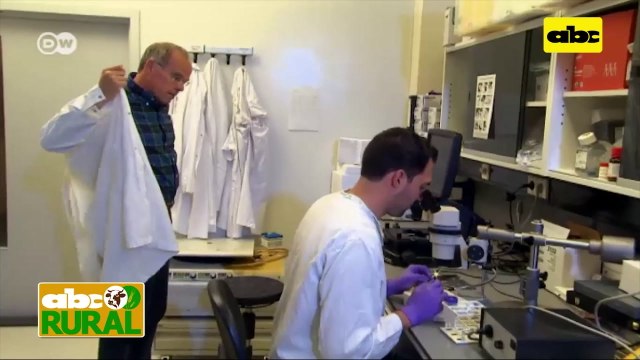 ABC Rural: Tecnología en el Agro - Diferencia entre carne bovina y vegetal