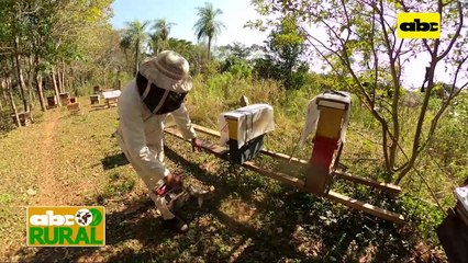 ABC Rural: Trabajos apícolas de invierno