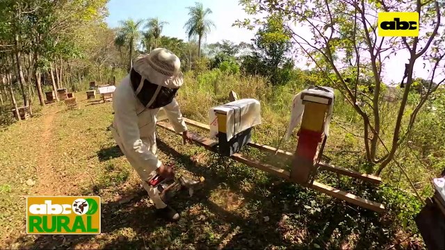 ABC Rural: Trabajos apícolas de invierno