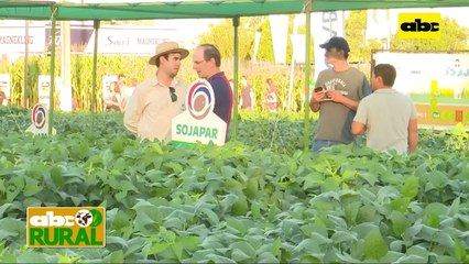 ABC Rural: Informaciones rurales - Agrodinámica 2021 suspendida