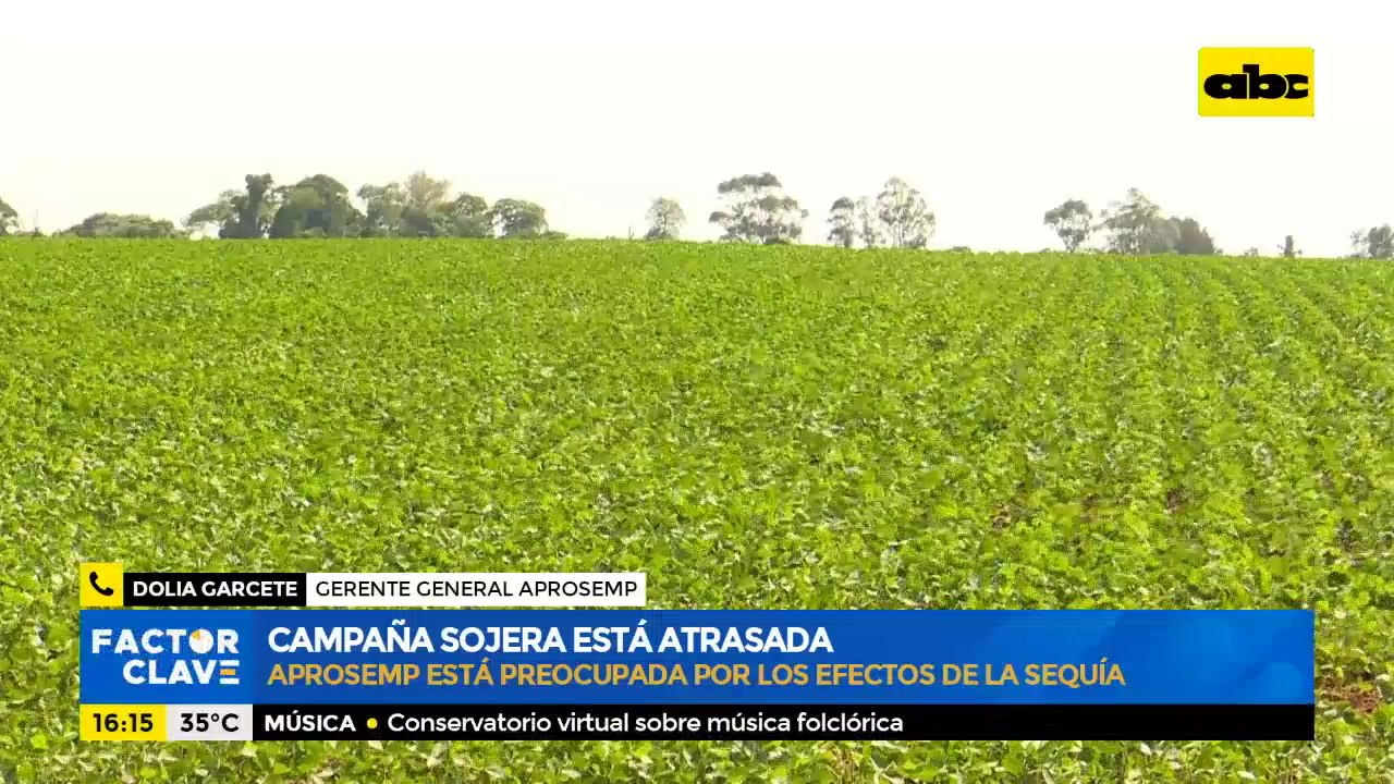 Campaña sojera atrasada
