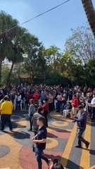 Con “arreo”, González Daher y su hijo se burlan de la ciudadanía y la justicia