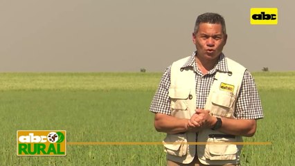 ABC Rural: Aprole realizó su remate de ganado en Campo 8