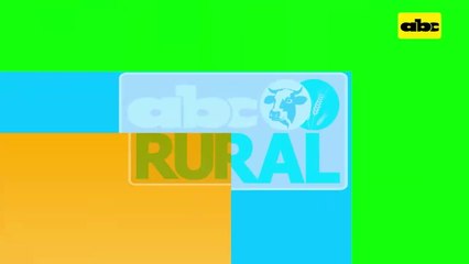 ABC Rural: Pulverización aérea y como puede ayudar al productor