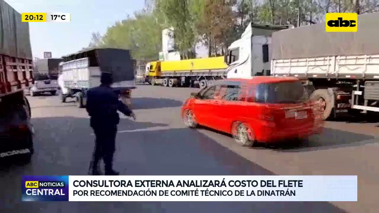 Consultora externa analizará costo del flete