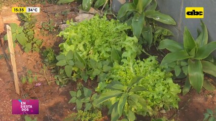 De la vereda a tu mesa - Huerta urbana, iniciativa que revoluciona el barrio San Cristóbal