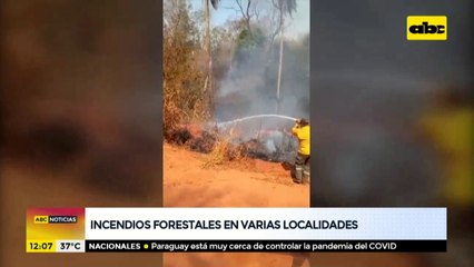 Incendios forestales en varias localidades del país