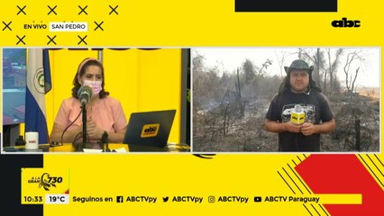 Bosques "reducidos a cenizas" en el departamento de San Pedro