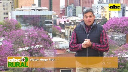 ABC Rural: Trashumancia apícola e integración con agricultura