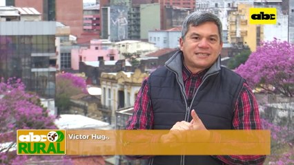 ABC Rural: Recuperación de suelo muy degradado con uso de abonos verdes