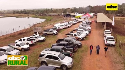 ABC Rural: Ventajas de adquirir ejemplares lecheros con genética definida