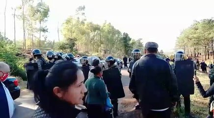 Desalojan a ocupantes de predio de escuela San Benito - 2