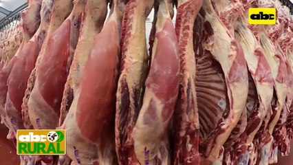 ABC Rural: Informaciones rurales - Nuevos destinos de la carne bobina paraguaya