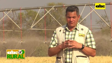ABC Rural: Desecación de malezas preparando la siembra de soja con UPL