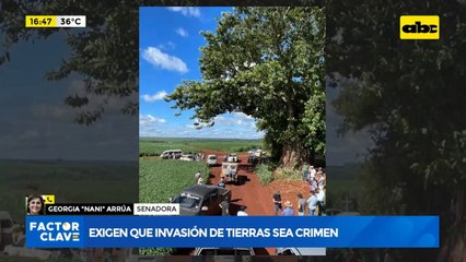 Exigen que invasión de tierras sea crimen