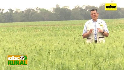 Abc Rural: Criterios para una buena nutrición de vacas lecheras