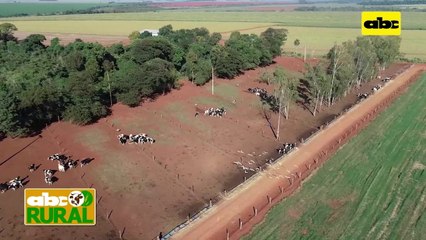 ABC Rural: Túnel de aire, y el bienestar de las vacas lecheras