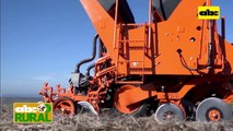 ABC Rural: Paraguay, elegido para presentación de plantadora Jacto