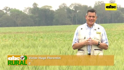 Abc Rural: Corteva busca llegar más a los productores