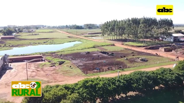 ABC Rural: Nutrición de terneras lecheras en etapa de cría y recría