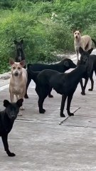 ไรเดอร์ถึงกับสะดุ้ง เมื่อลูกค้าบอกบ้านอยู่สุดซอย !