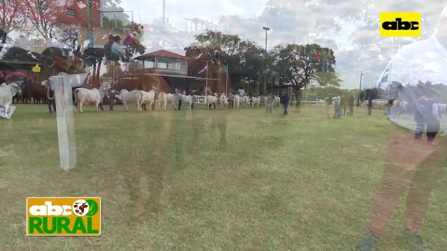 ABC Rural : Arrancó la 75 Expo Ganadera en Roque Alonso