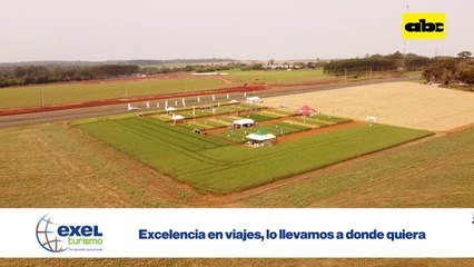 ABC Rural: Importancia de una buena fertilización en trigo