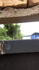 Vecinos denuncian que iglesia del "Avivamiento" de Lambaré sigue operando