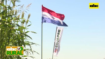 ABC Rural: Inbio sigue trabajando para crear nuevas variedades de soja