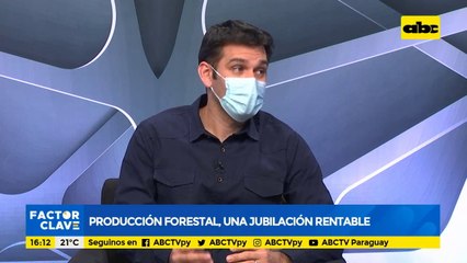 Producción forestal: una jubilación rentable