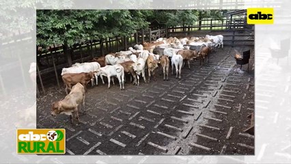 ABC Rural: ARP prepara 8vo. Congreso Ganadero