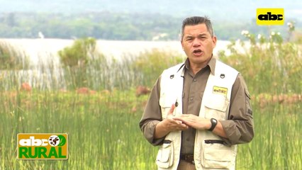 ABC Rural: Historia del Tambo Verde, y su sistema de ordeño carrusel