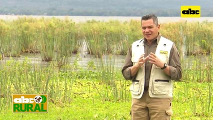 ABC Rural: Programas ProSolum y ProRinde de Timac Agro para los productores