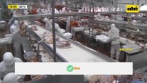 La industria cárnica espera por auditoría