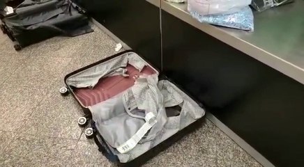 Momento de la revisión del equipaje  de un dominicano proveniente de Holanda. Hallaron más de 30 mil pastillas de la droga éxtasis.