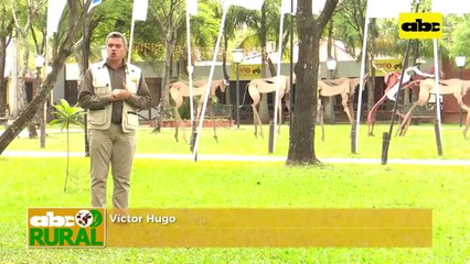 ABC Rural: Importancia del control preventivo de malezas, plagas y enfermedades