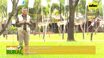 ABC Rural: Raza Angus presente en la Expo Ganadera 2021