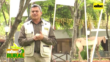 ABC Rural: Charla sobre comercio mundial de carne y desafíos