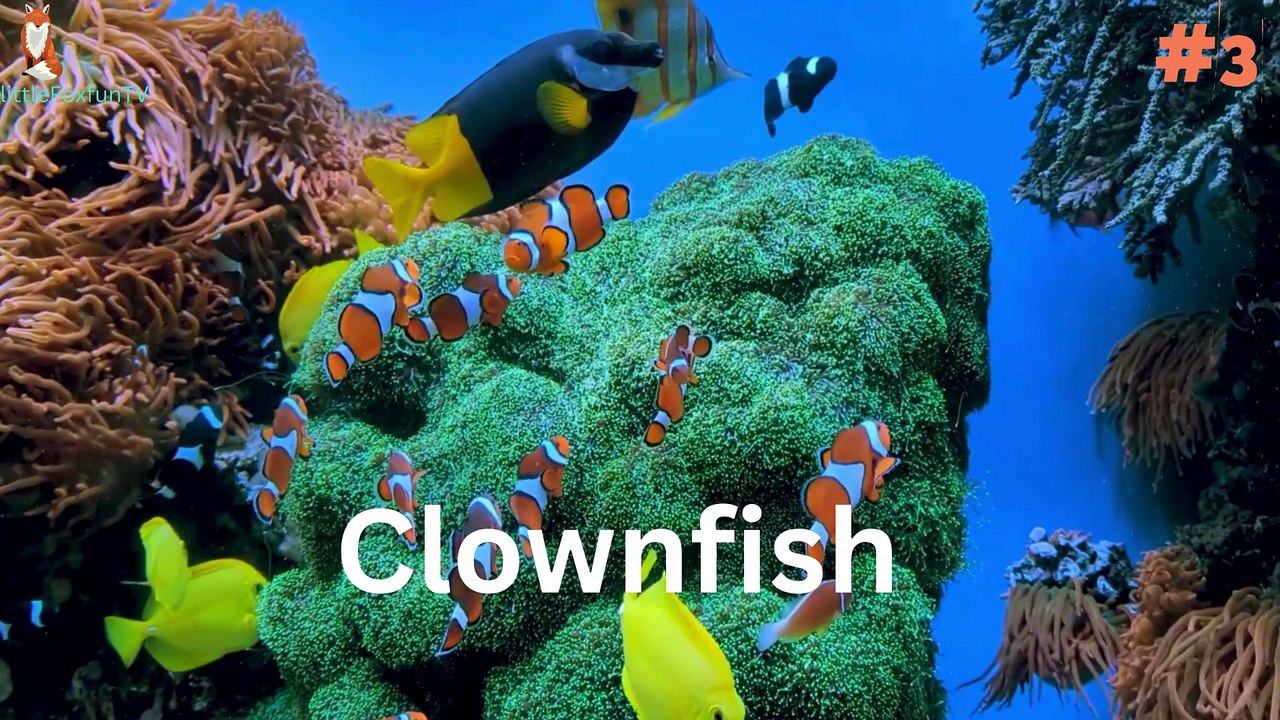 Top 50 Sea Animal Names in English for preschoolers #kids #animals #fish