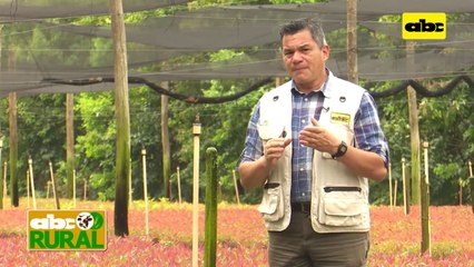 ABC Rural: CLS con nuevo local en el predio de la ARP