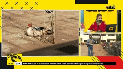 Rescatan un pato de los brazos de dos delincuentes