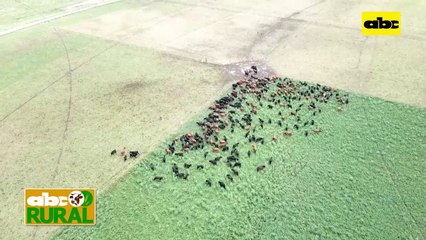 ABC Rural: Argentina flexibiliza en algo la exportación