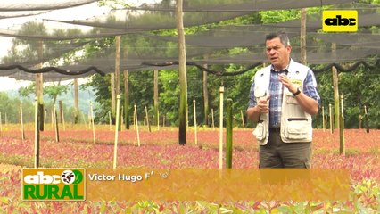 ABC Rural: Nutrivet cumple 20 años junto al productor pecuario